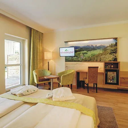 Schneeberghof Hotel Puchberg am Schneeberg