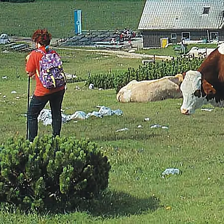Ξενοδοχείο Schneeberghof