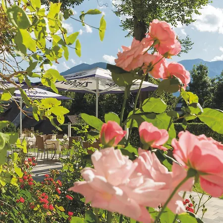 Schneeberghof Hotel Puchberg am Schneeberg