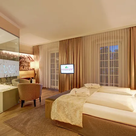 Schneeberghof Hotel Puchberg am Schneeberg