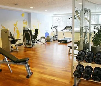 舒尼贝尔格霍夫酒店 酒店 4*