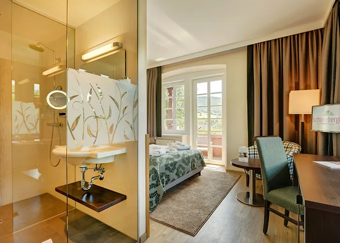 Schneeberghof Hotel Puchberg am Schneeberg