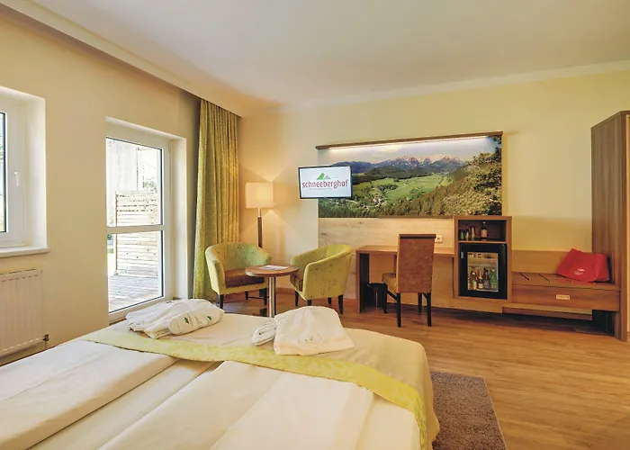 Schneeberghof Hotel Puchberg am Schneeberg