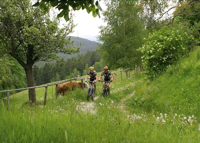 Hotel Schneeberghof Puchberg am Schneeberg