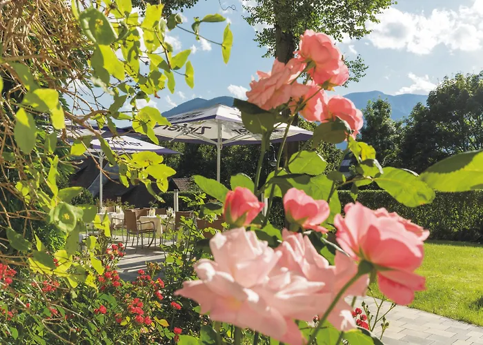 Schneeberghof Hotel Puchberg am Schneeberg