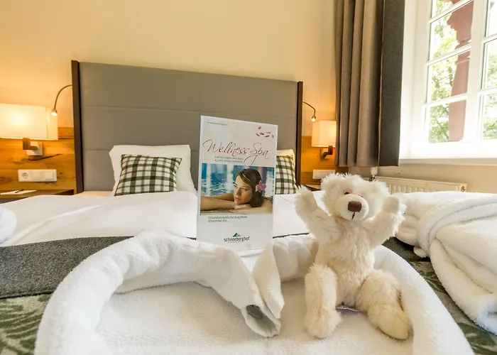 Hotel Schneeberghof 4*