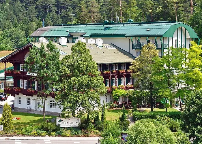 Hotel Schneeberghof Puchberg am Schneeberg