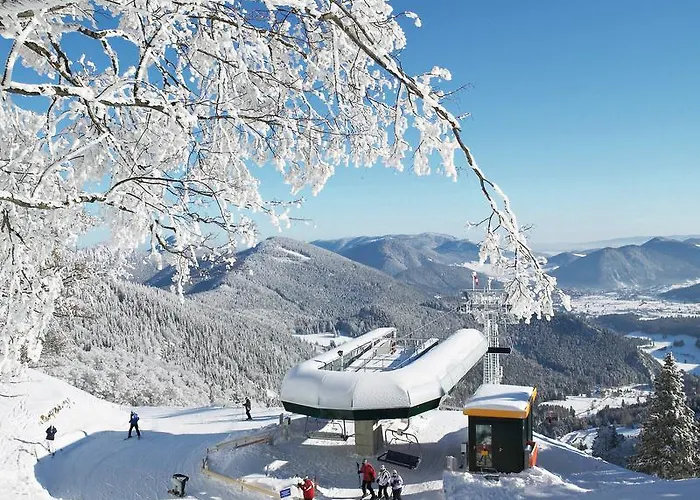 Hotel Schneeberghof 4*